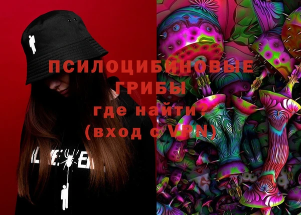 гашик Инсар