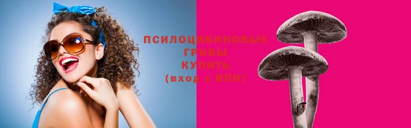 гашик Инсар