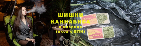 гашик Инсар