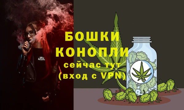 гашик Инсар