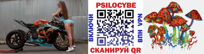 Купить где  Дмитровск  Псилоцибиновые грибы Psilocybe 